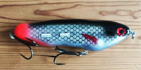 Gewefish- Dancer 16cm, S,  Roach